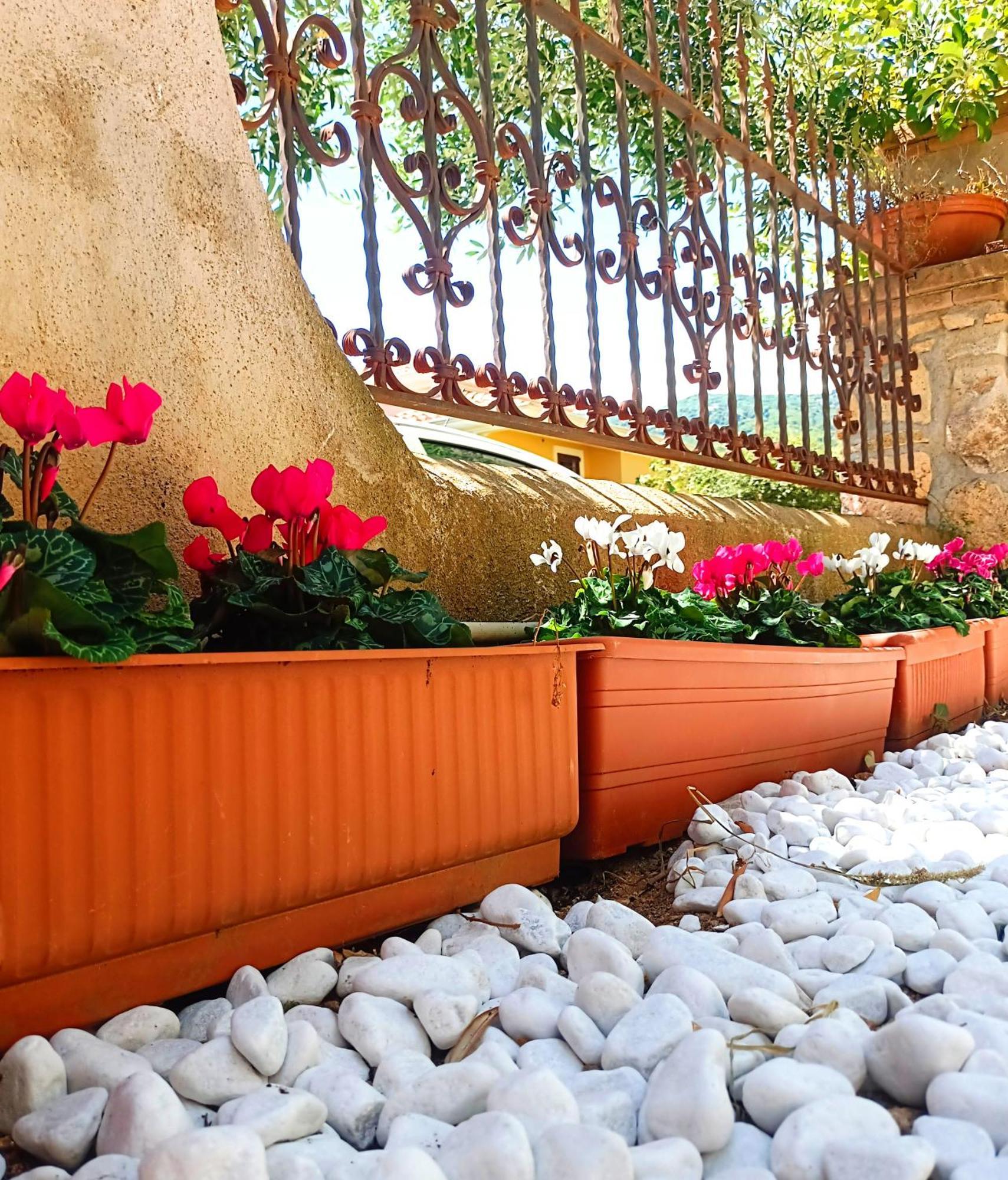 Le Sorgenti Guest House Ilbono Exterior photo